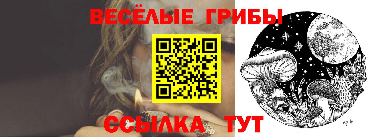 Галлюциногенные грибы прущие грибы  Псилоцибиновые грибы мицелий  Вход с VPN  Чайковский 