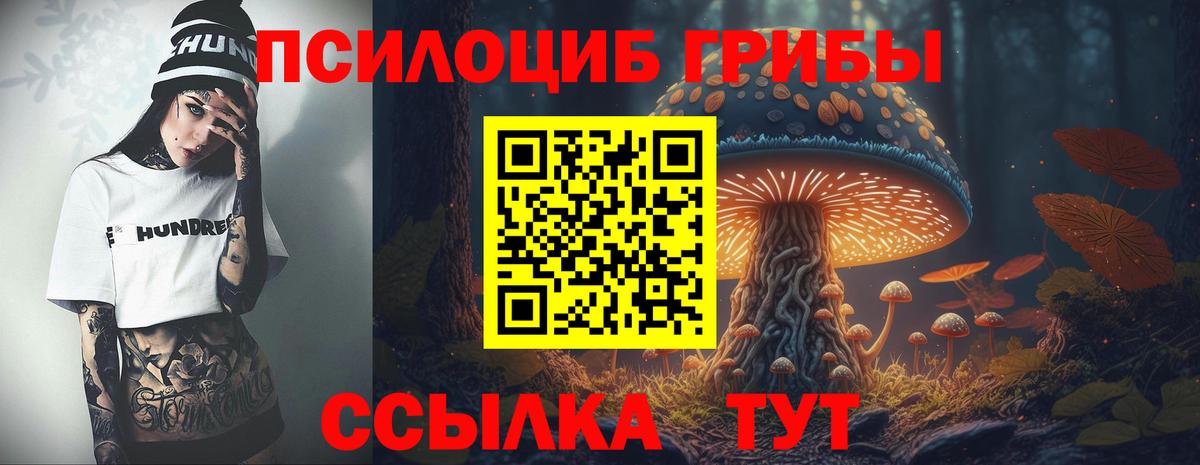 Галлюциногенные грибы мухоморы Чайковский